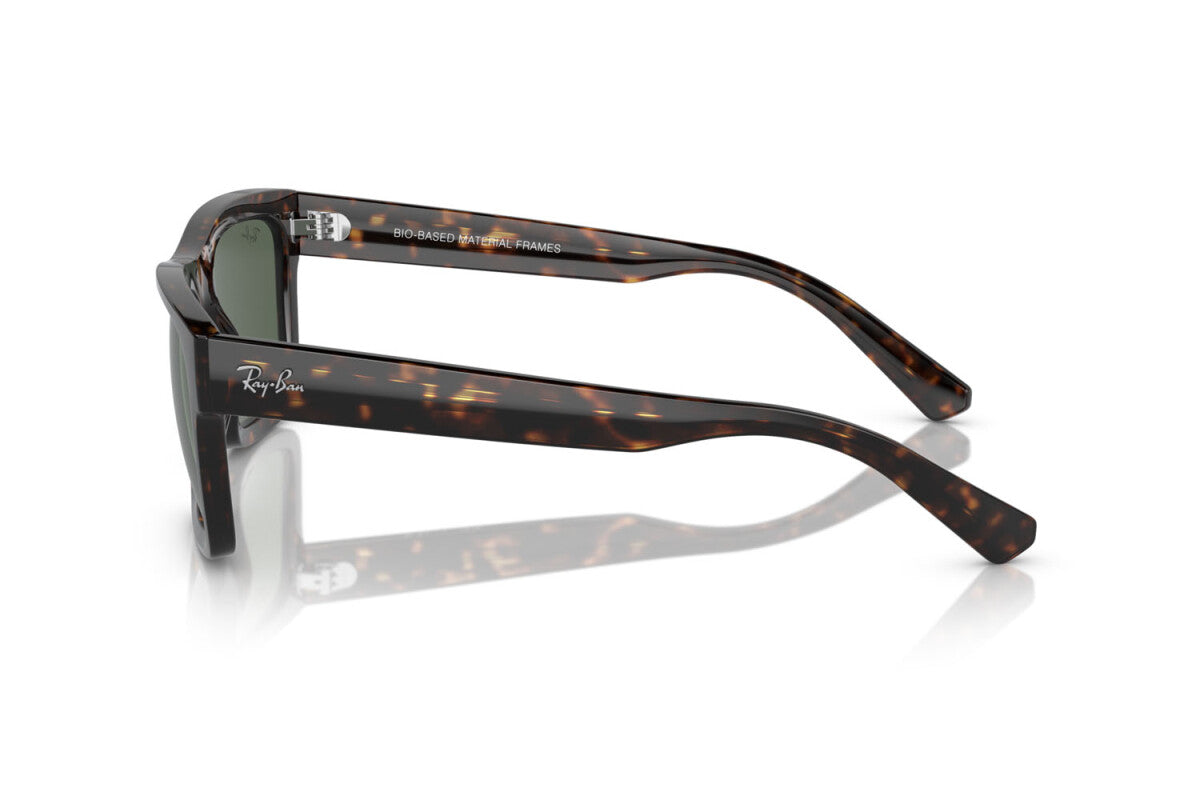 Occhiali da Sole Ray-Ban Warren RB 4396