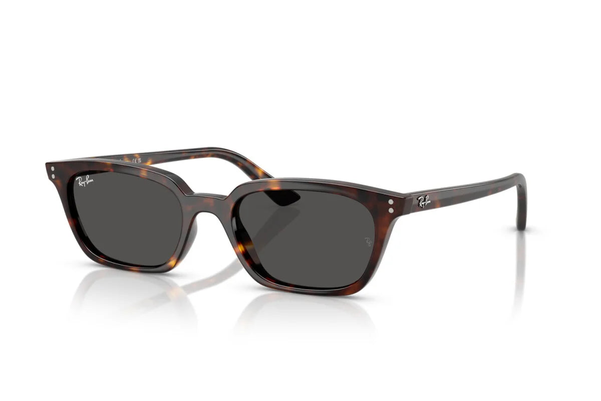 Occhiali da Sole Ray-Ban Zaya RB 4456 (135987)