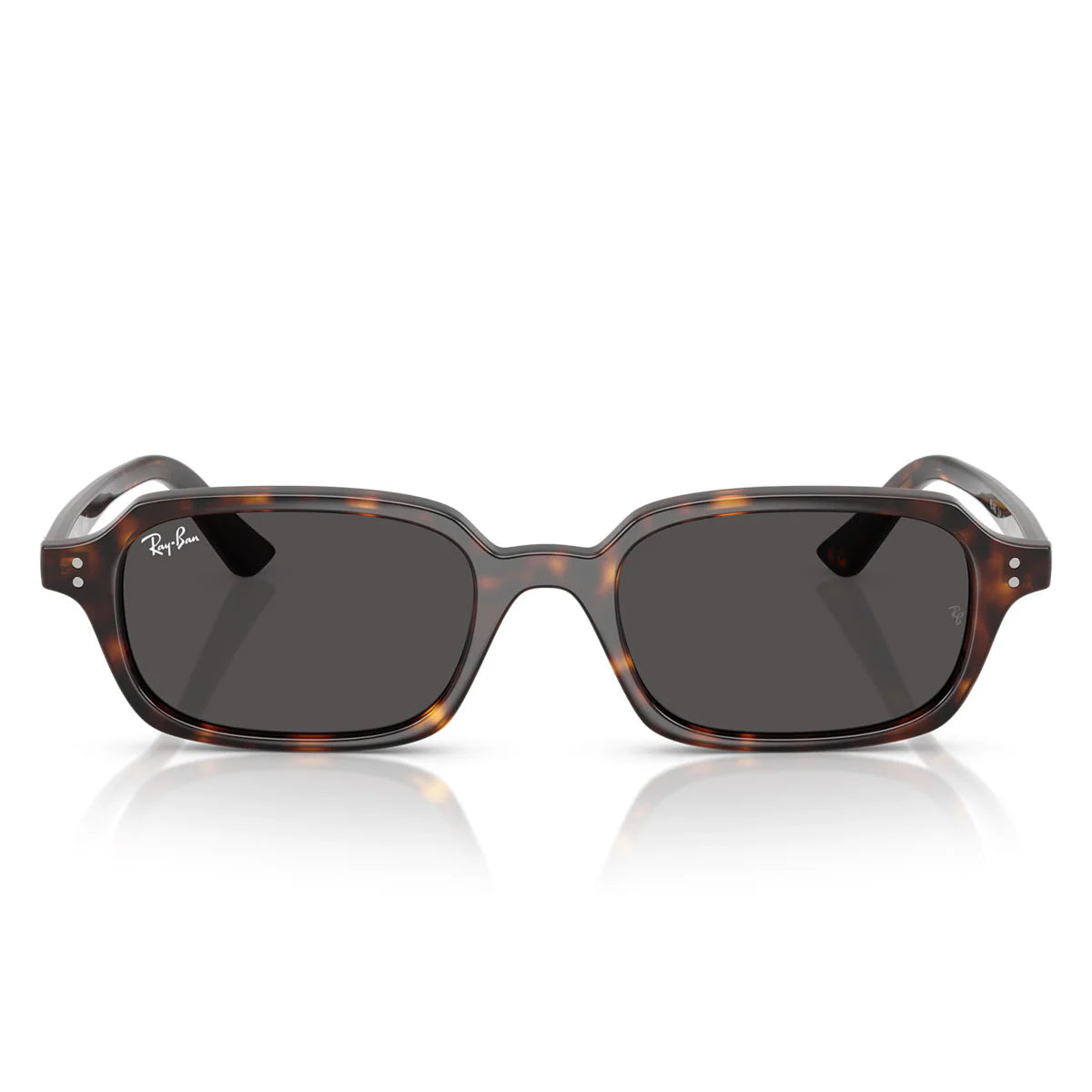 Occhiali da Sole RB4455