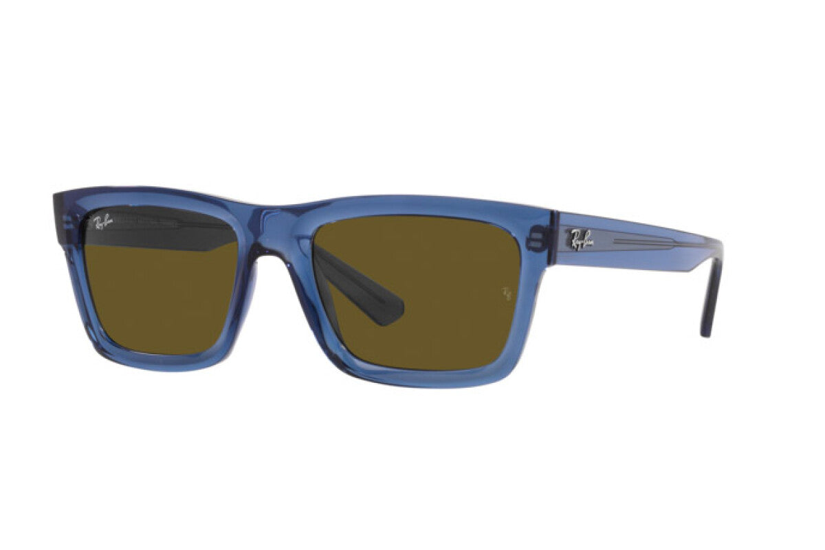 Occhiali da Sole Ray-Ban Warren RB 4396
