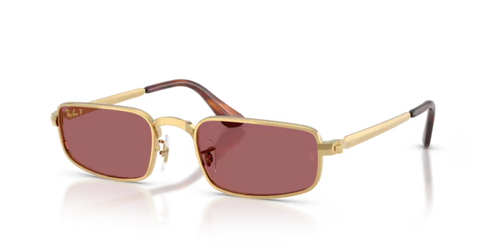 Ray-Ban RB3927