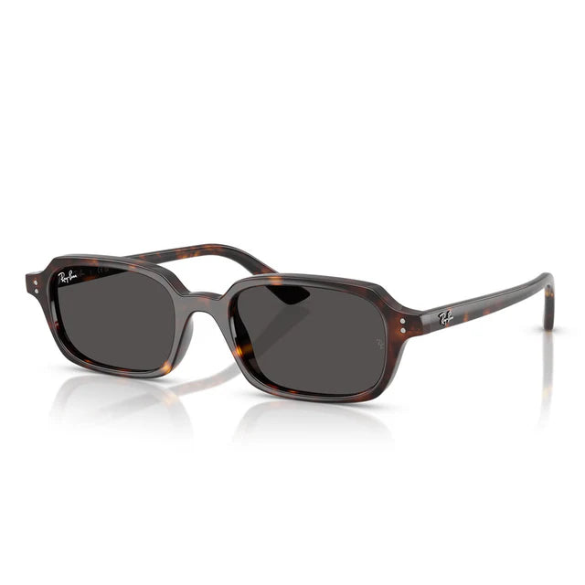 Occhiali da Sole RB4455