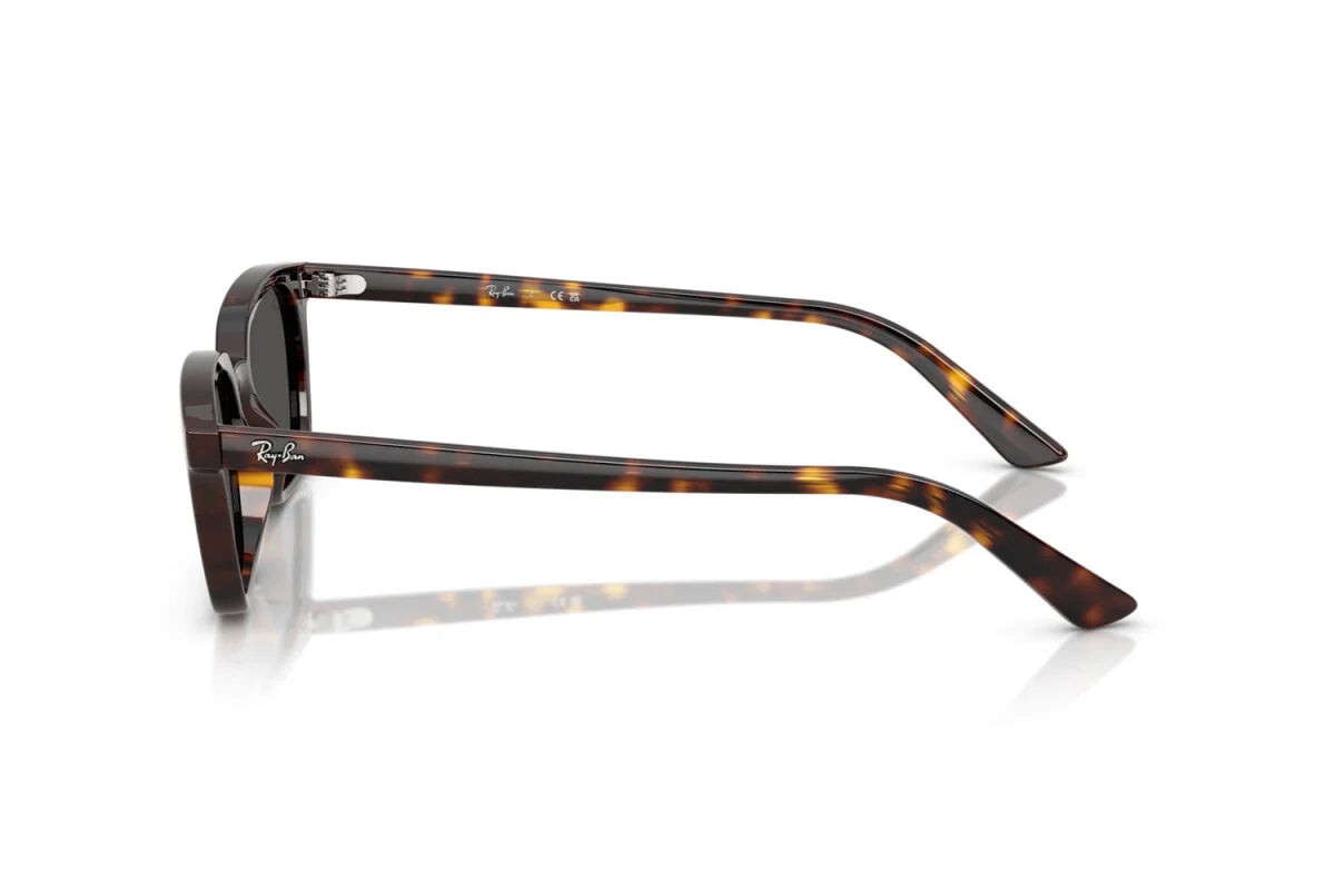 Occhiali da Sole Ray-Ban Zaya RB 4456 (135987)