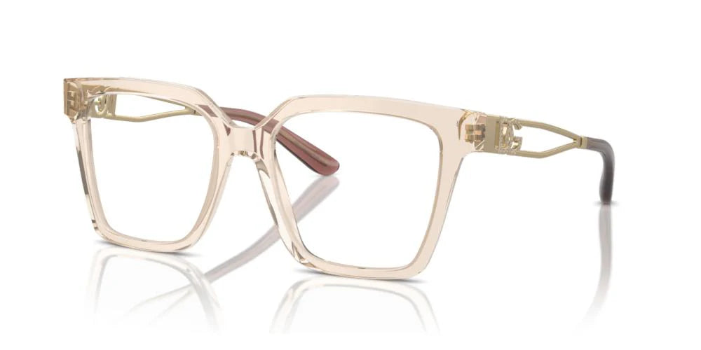 Dolce e Gabbana DG 3376B
