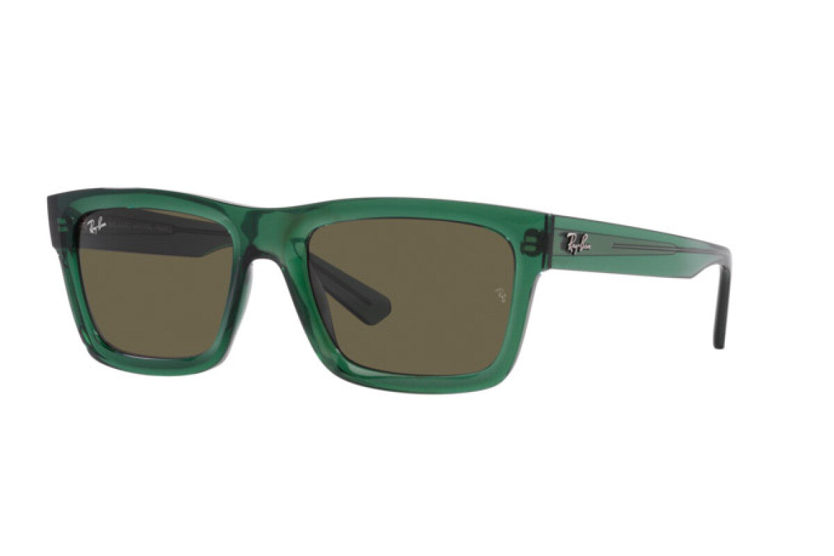 Occhiali da Sole Ray-Ban Warren RB 4396
